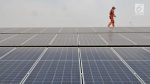 Mulai Proyek Listrik 100 GW, PLN Luncurkan PLTS Mentari Nusantara I